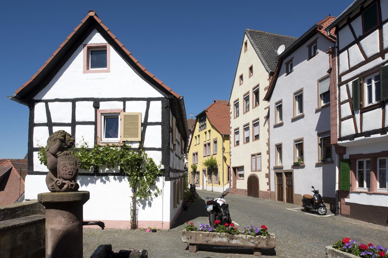 Burggarten Appartements Neuleiningen Kültér fotó