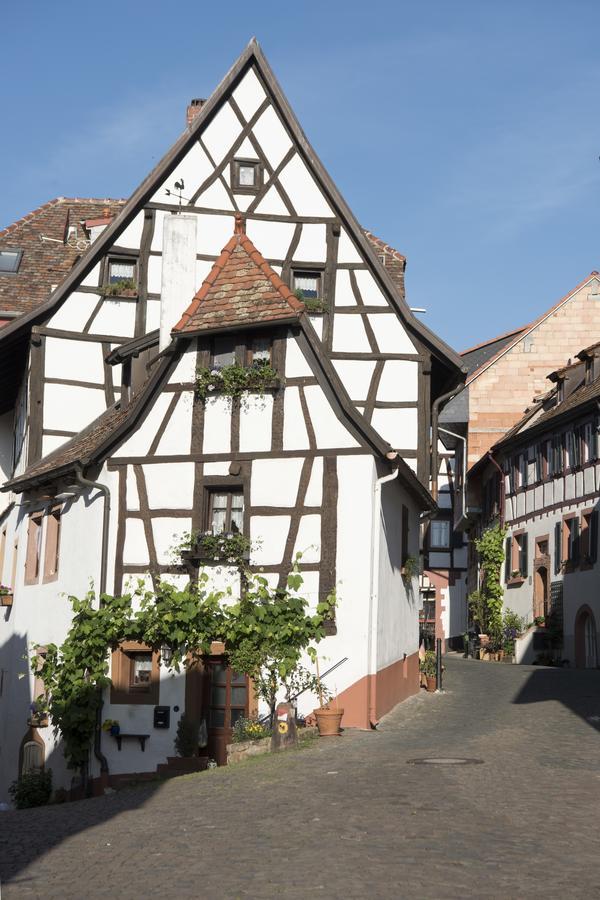 Burggarten Appartements Neuleiningen Kültér fotó