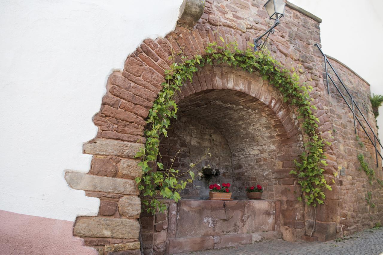 Burggarten Appartements Neuleiningen Kültér fotó