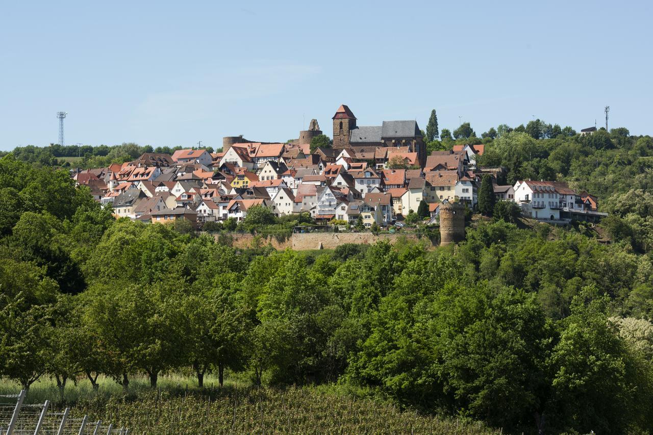Burggarten Appartements Neuleiningen Kültér fotó