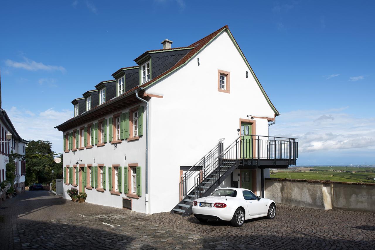Burggarten Appartements Neuleiningen Kültér fotó